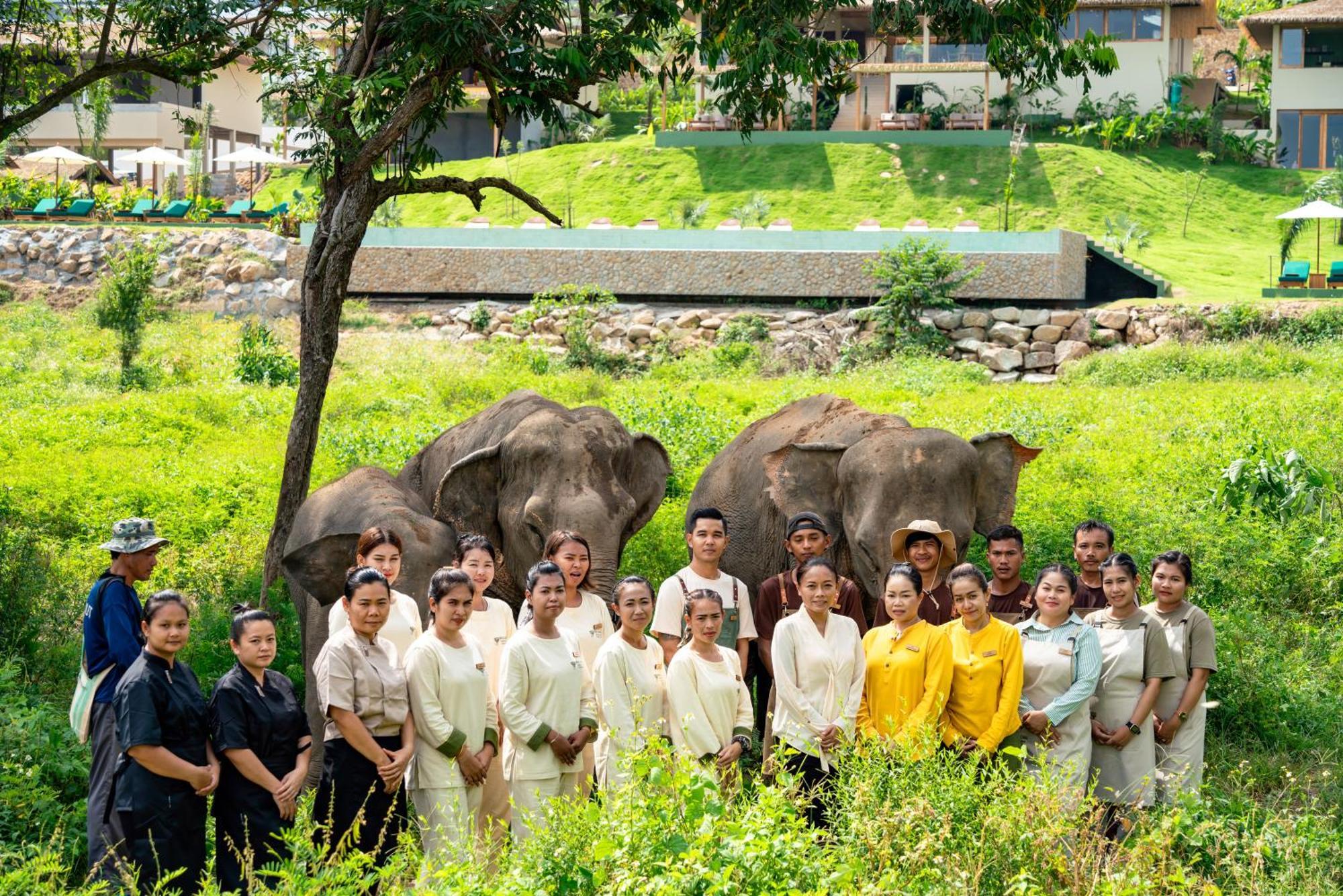 Wild Cottages Elephant Sanctuary Resort Amphoe Koksamui Esterno foto