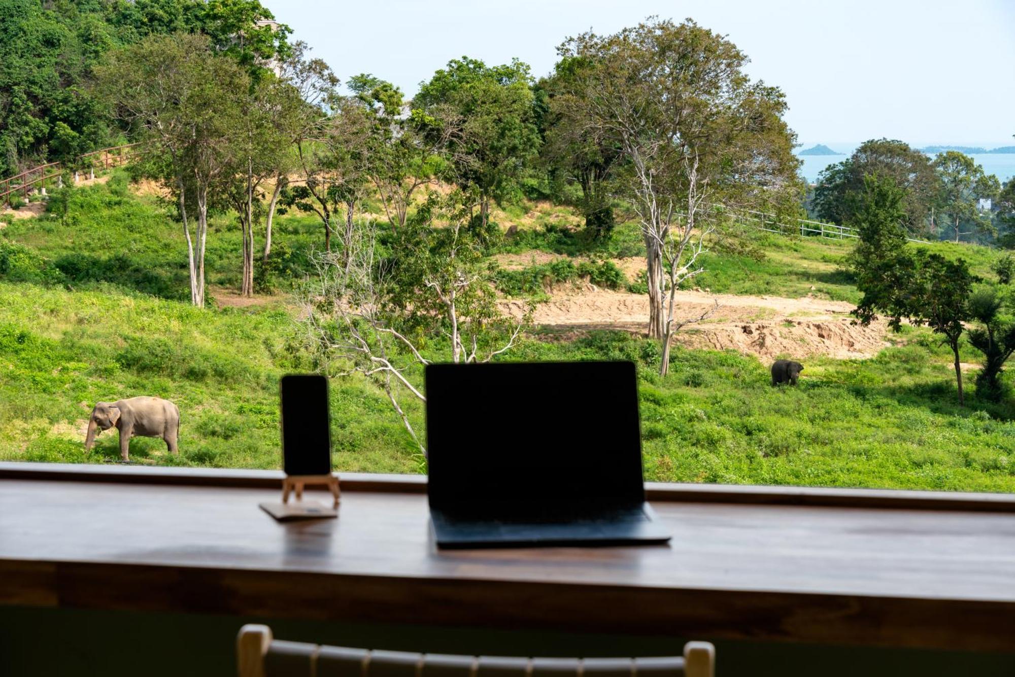 Wild Cottages Elephant Sanctuary Resort Amphoe Koksamui Esterno foto