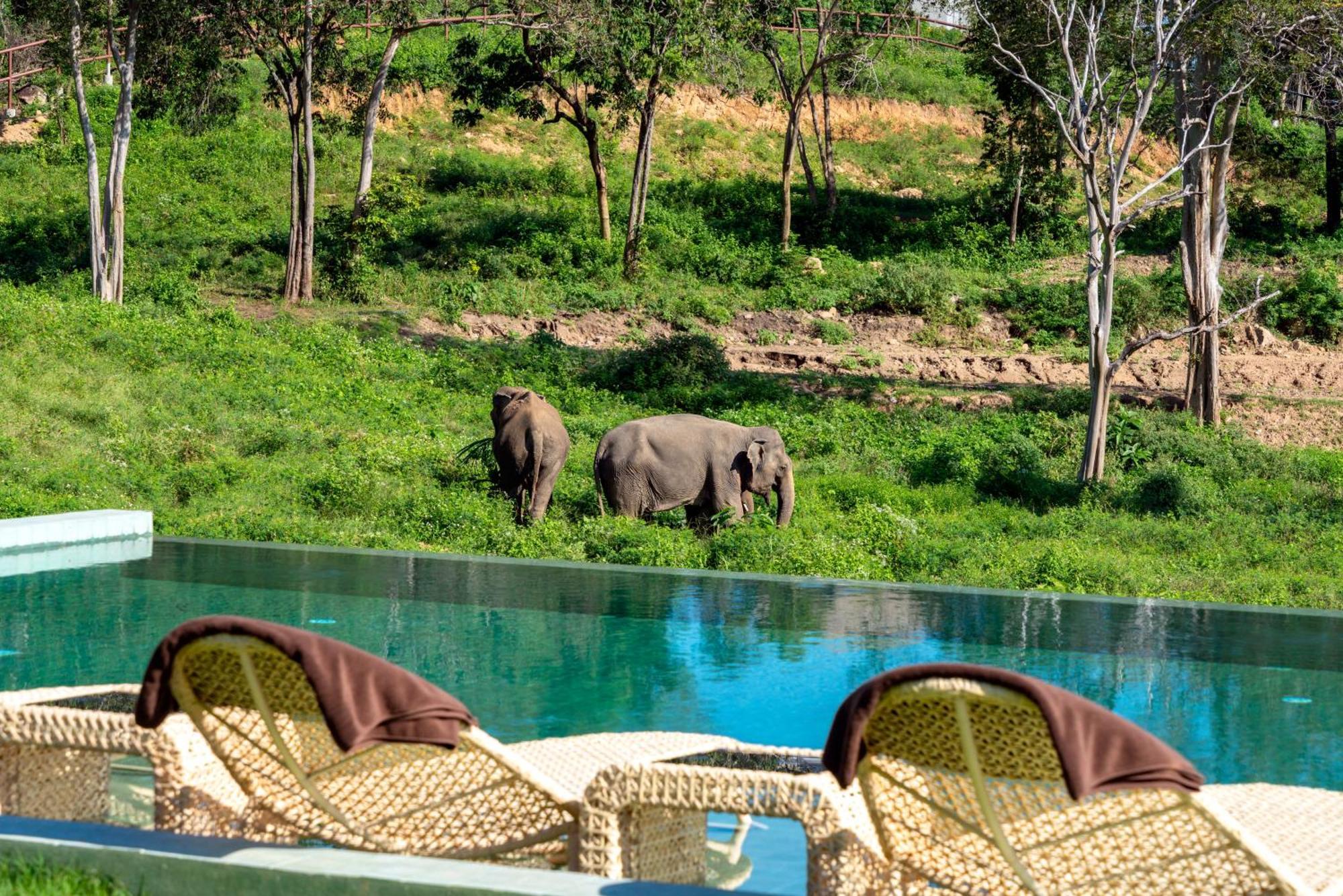 Wild Cottages Elephant Sanctuary Resort Amphoe Koksamui Esterno foto