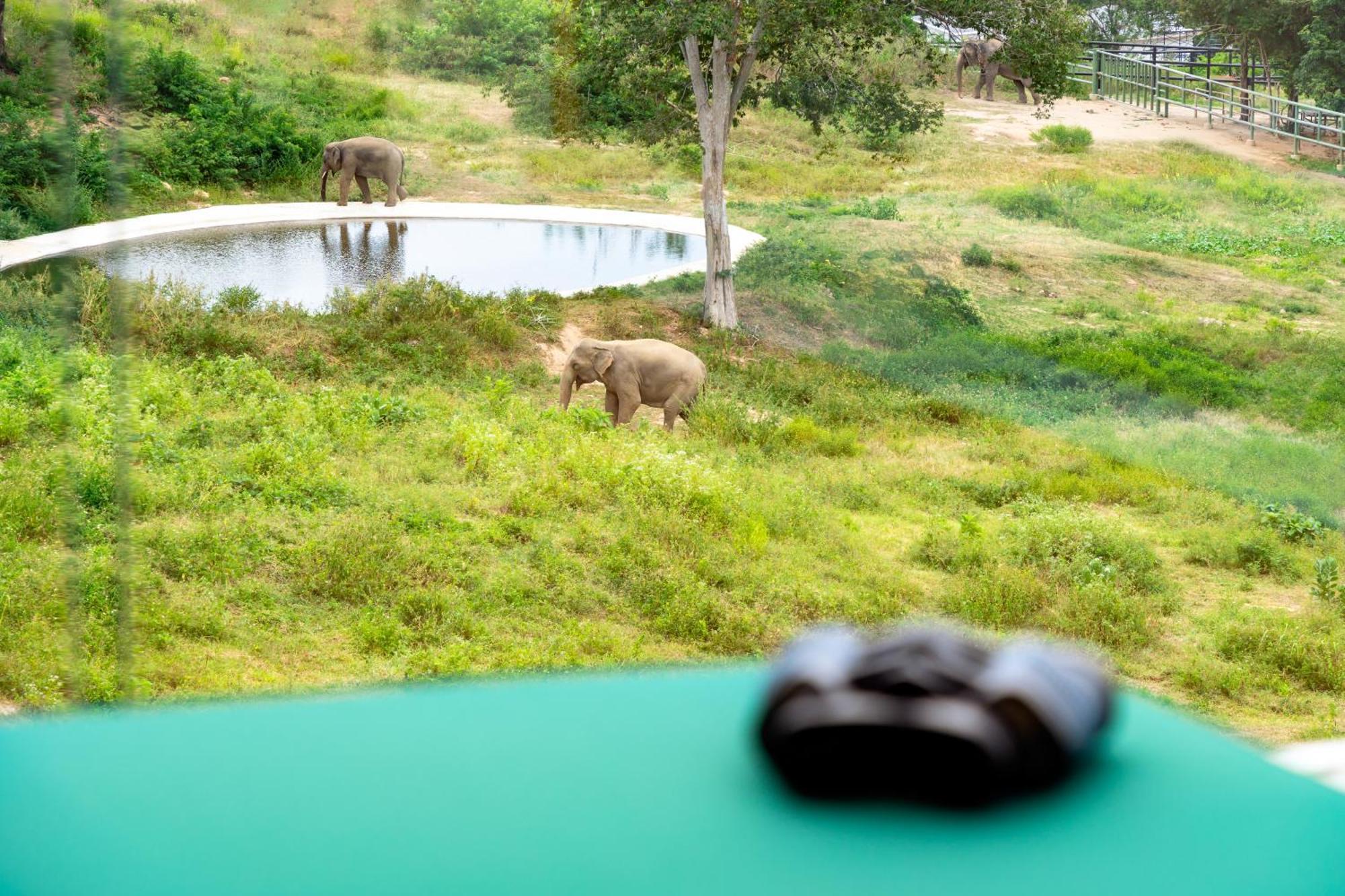 Wild Cottages Elephant Sanctuary Resort Amphoe Koksamui Esterno foto