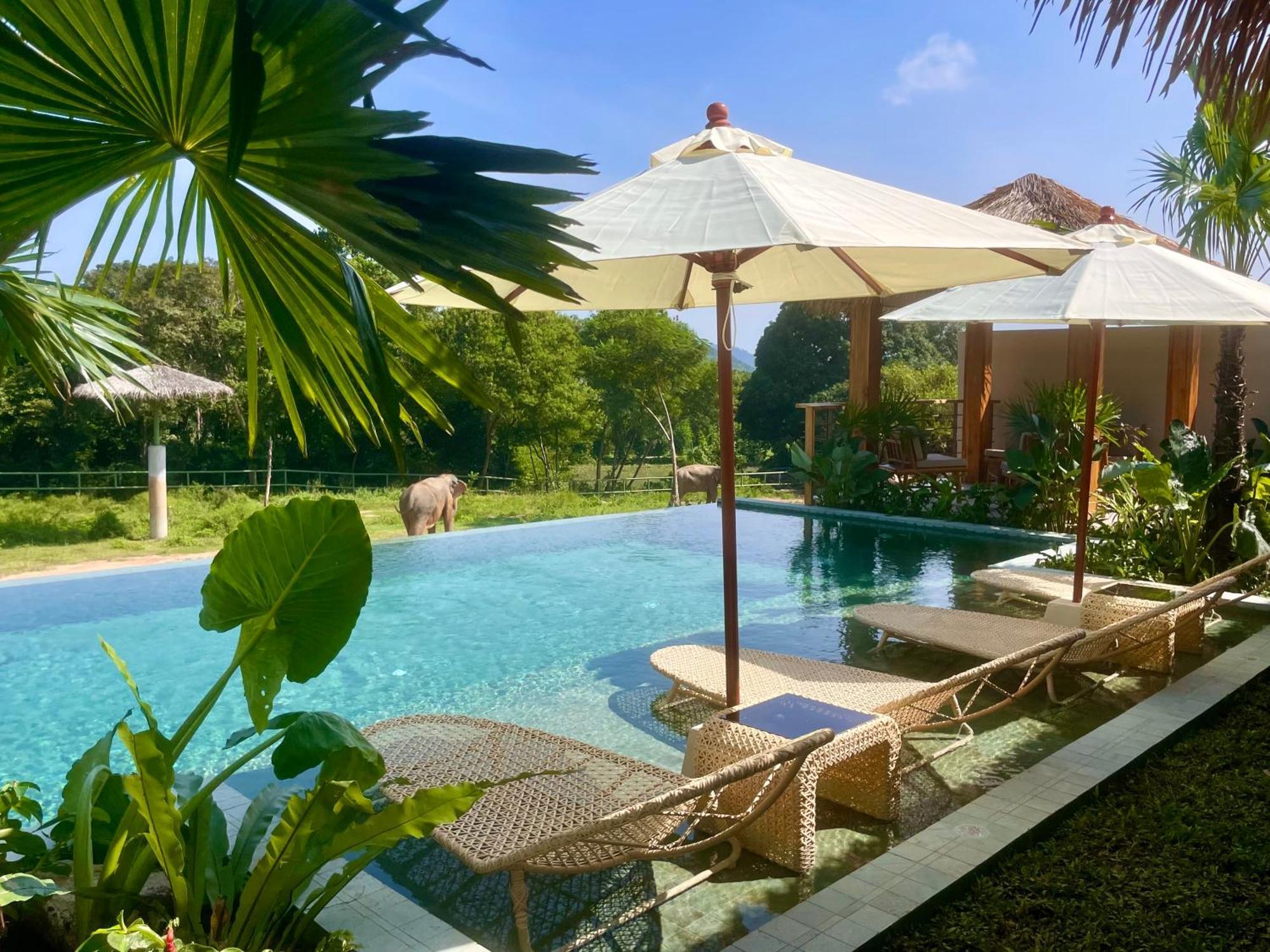 Wild Cottages Elephant Sanctuary Resort Amphoe Koksamui Esterno foto