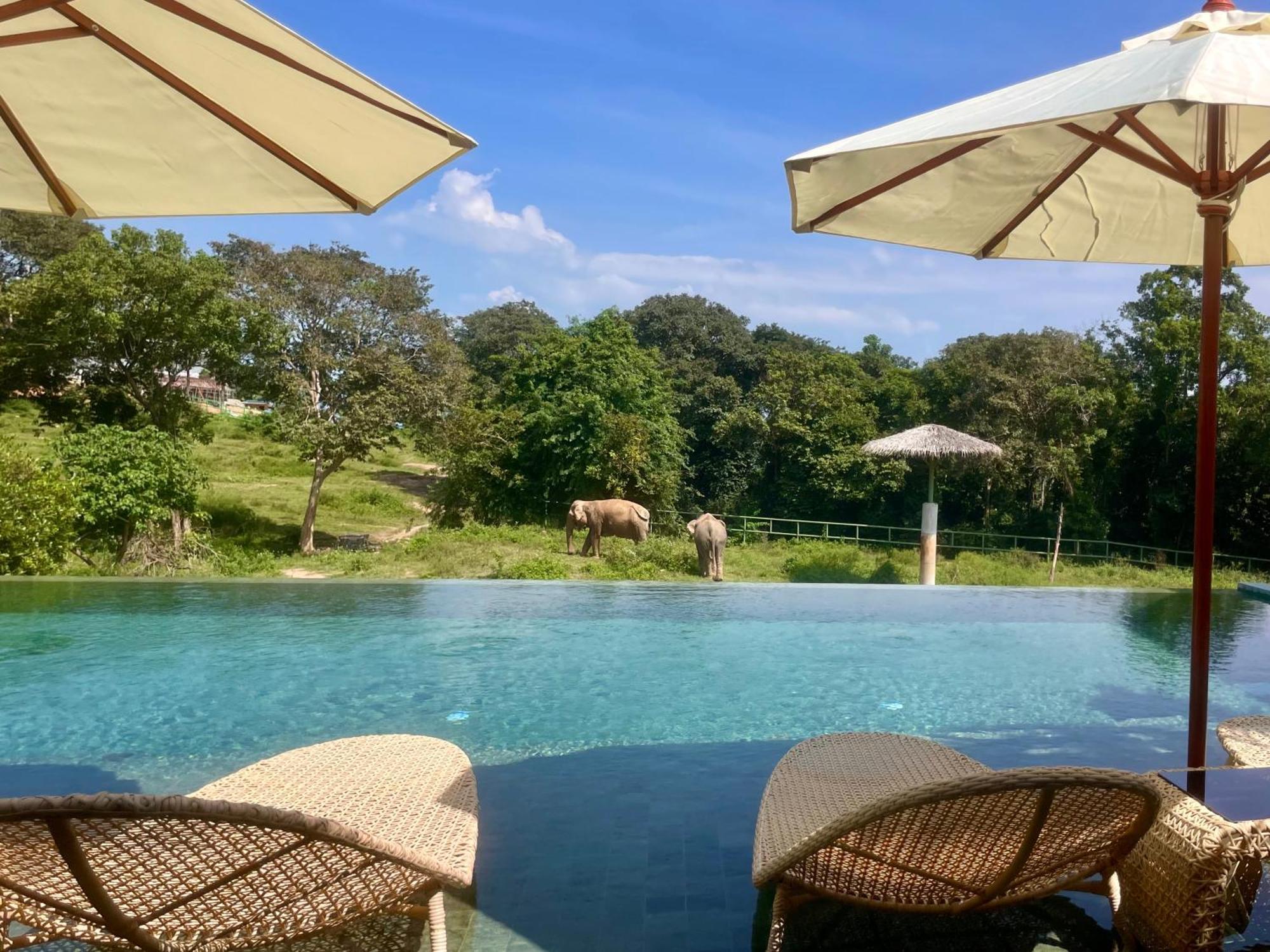 Wild Cottages Elephant Sanctuary Resort Amphoe Koksamui Esterno foto