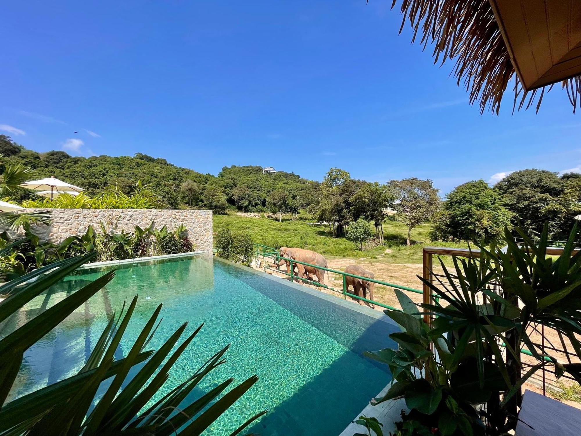 Wild Cottages Elephant Sanctuary Resort Amphoe Koksamui Esterno foto